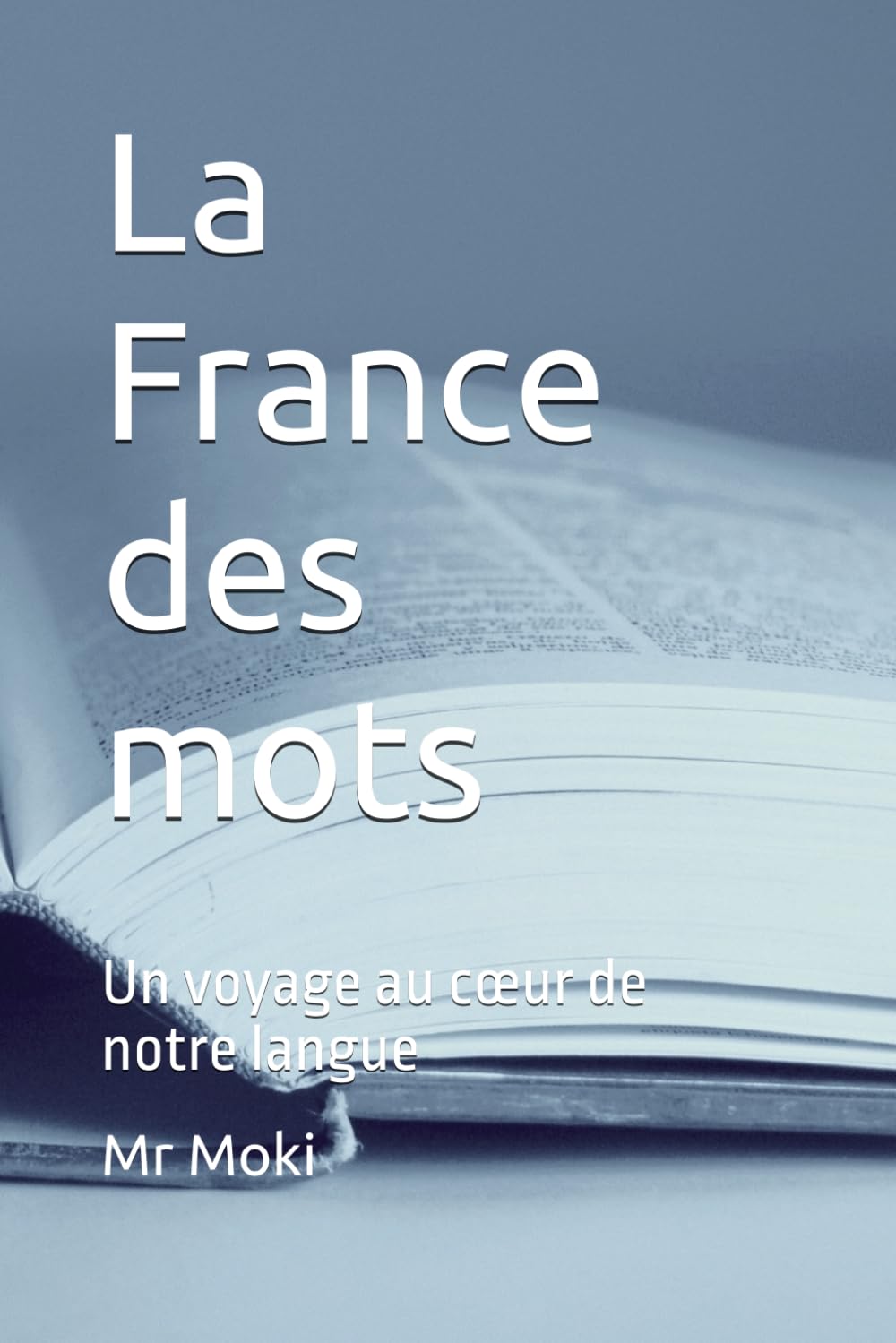 La France des mots: Un voyage au cœur de notre langue
