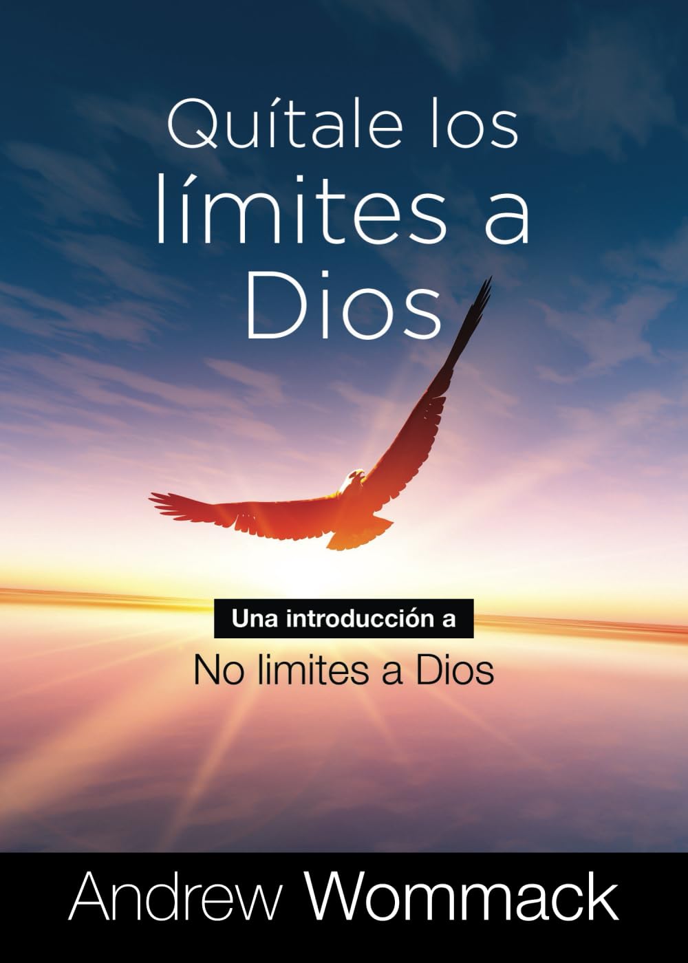 Quítale los Límites a Dios: Una Introducción a No Limites a Dios