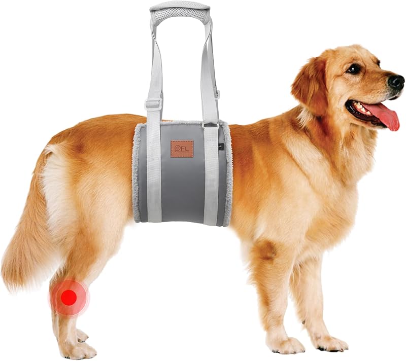 Peitoral de Suporte para Pernas Traseiras de Cães Grandes PICK FOR LIFE com Alças Ajustáveis