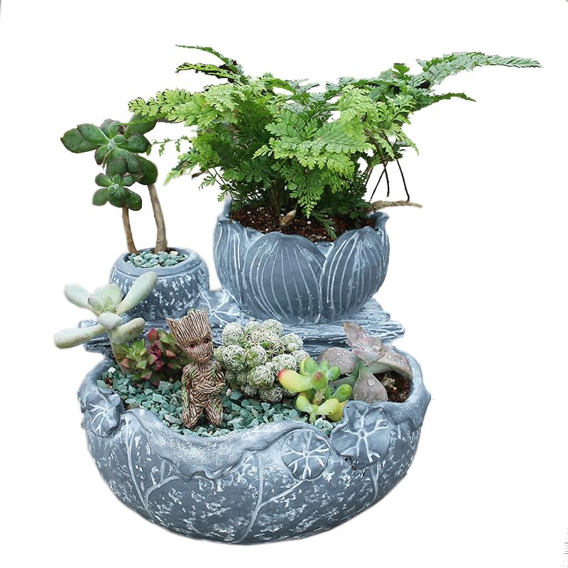 Amazon.co.jp: YANMILIA 多肉植物ロックガーデンプランター、屋内&屋外