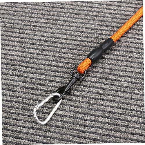Sangle de formation pour chiens et chiots 10m pour stopper les fuites orange