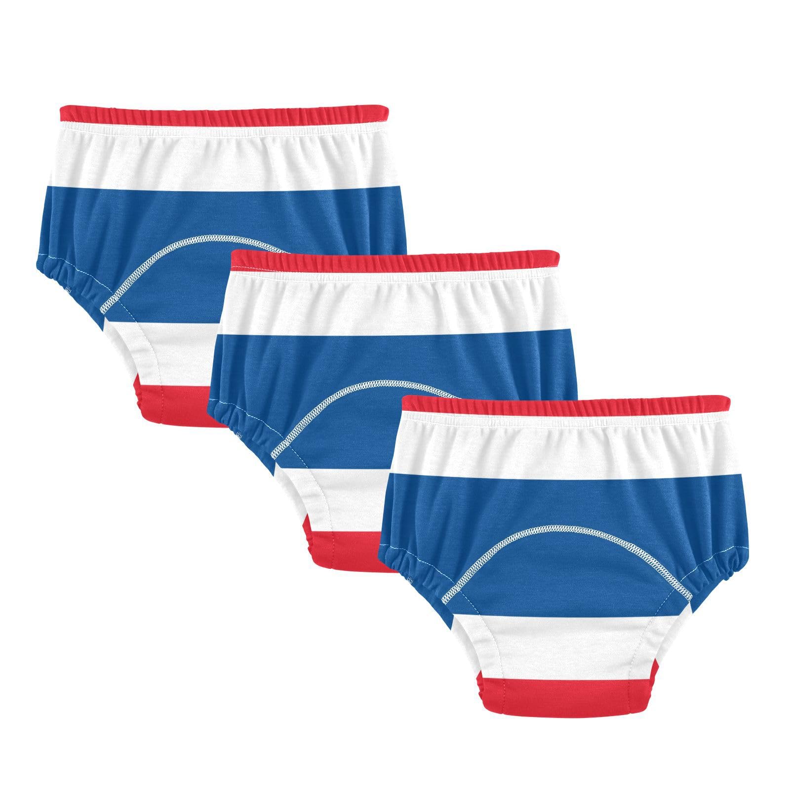 Little Boys Potty Training Underwear Set Leakproof Boxer Briefs for Toddler Boys 4T Thailand Flag
