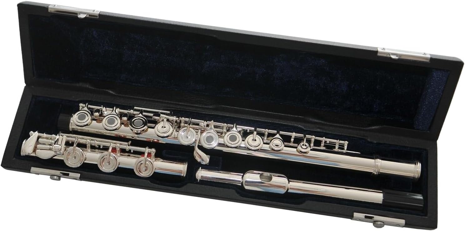 Amazon.com: Flutes Musical Instrument Professional Cupronickel Silver ...