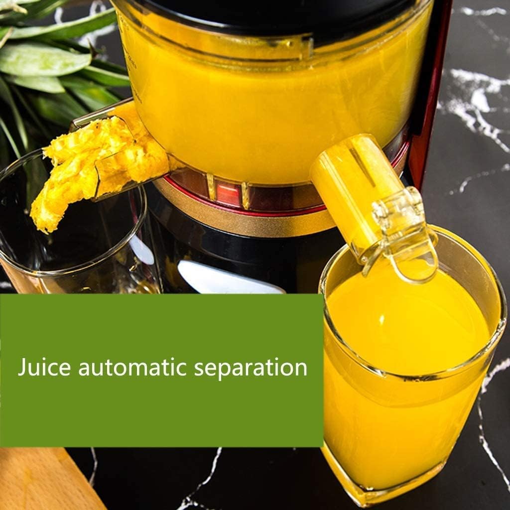 Multifunctional Electric juicer Juicer Machines, Juicer, Slow Juicer Extractor Anti-drip Mouth(