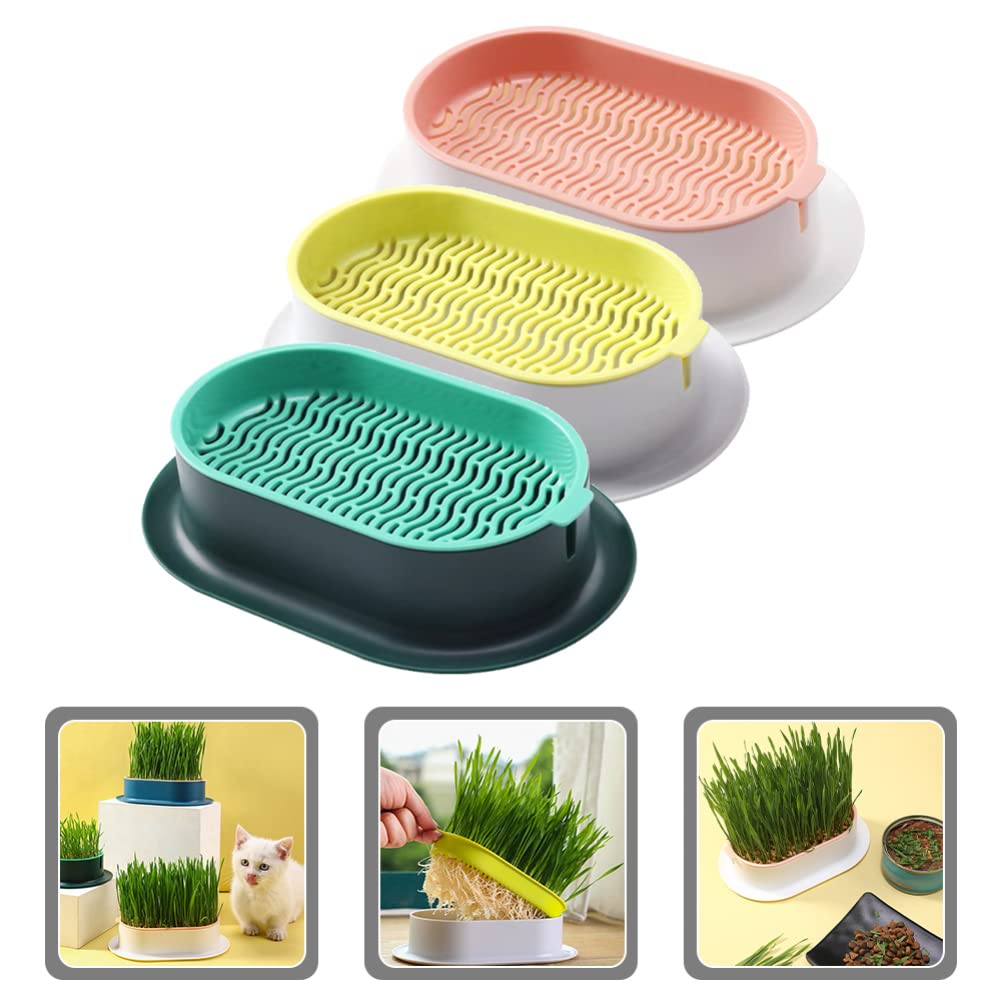 Ipetboom 3er-Set Sprout Tray – Katzengras-Anzuchtbox Ohne Erde Mit Deckel, Ideal Für Hydrokultur & Keimsaat