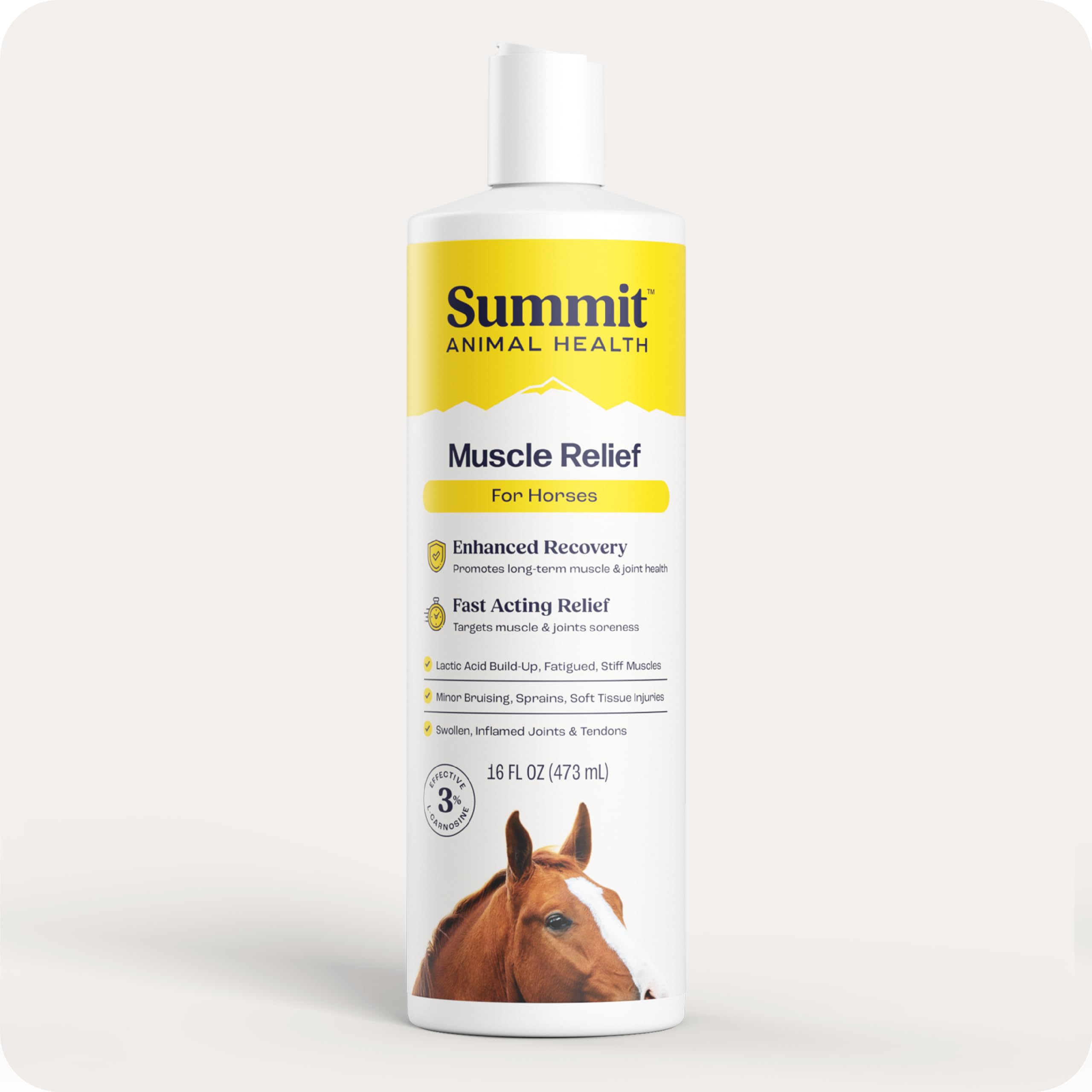 Summit Equine Muscle Relief Gel for Horses – Advanced L-Carnosine Formula for Sore Muscle Recovery, Inflammation Reduction, and Joint Comfort – 16 fl