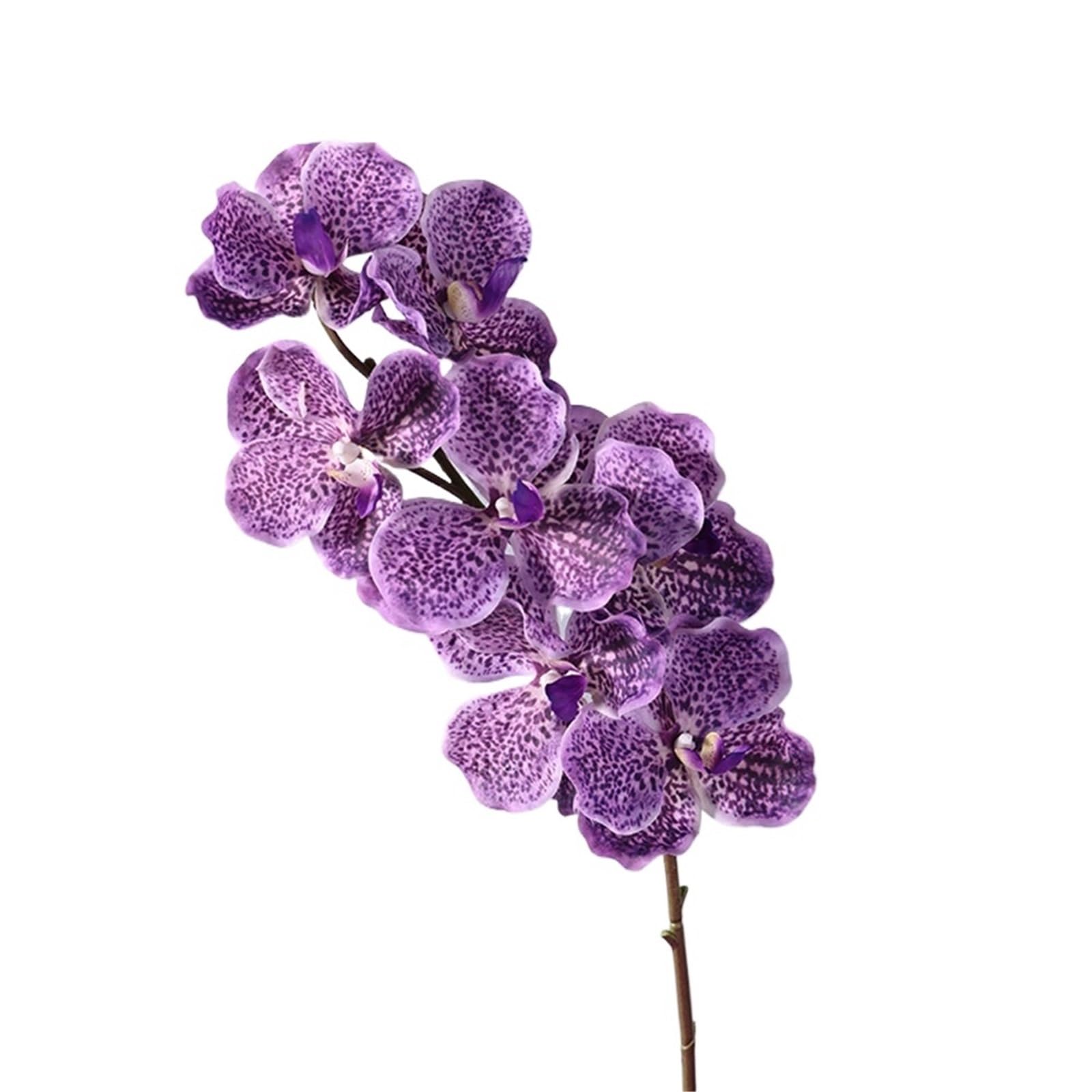 LSYHHXC Artificial Orchid 1 Pc 80 CM Artificial Vanda Orchid Phalaenopsis Branch Floral Arrangements Realistic Simulation Flower