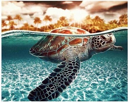 Amazon Co Jp 数字によるdiyペイント ウミガメ アクリル絵具キット 大人子供初心者向け 子供向けキャンバスペインティングギフト フレームレスペイントブラシ付き16 X ホビー