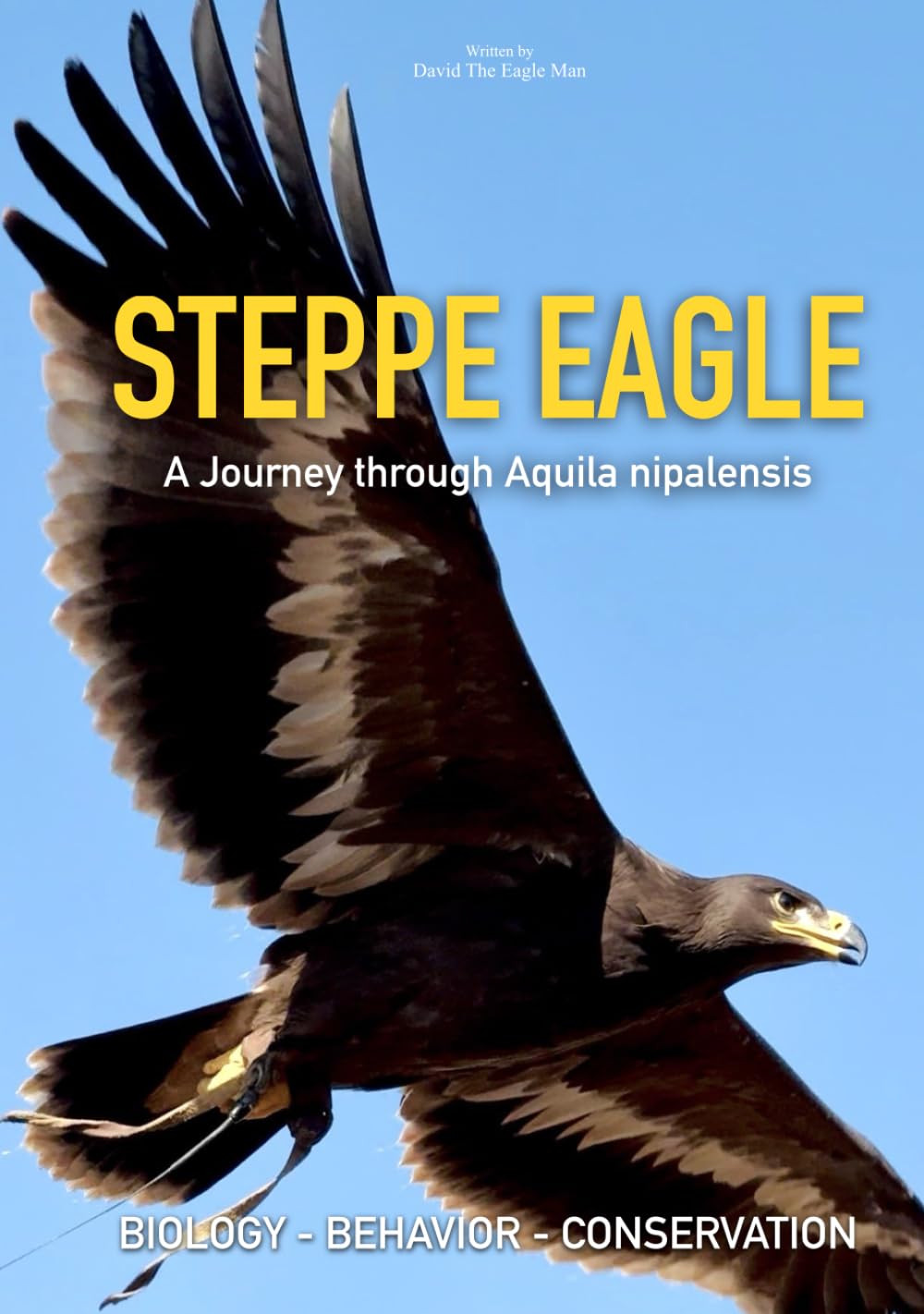 Steppe Eagle: A Complete Scientific and Falconry Guide to aquila nipalensis: Biology, Behavior, Ecology, Free-Flight Training, Conservation and Modern Raptor Management