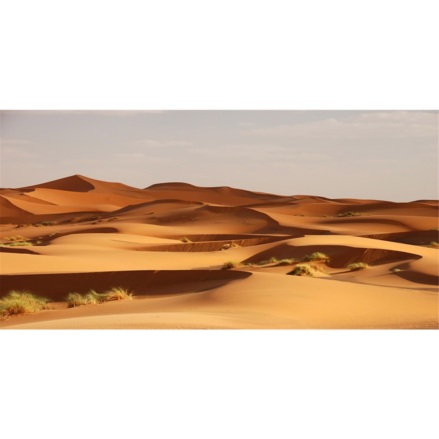 MIRRORANG 61x41cm Terrarium Background Orange Desert Reptile Habitat Background Durable Vinyl Background โ image 1