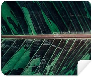 Simpol Banana Nature Photo Cleaning Cloth Screen Cleaner 2pcs Suede Fabric