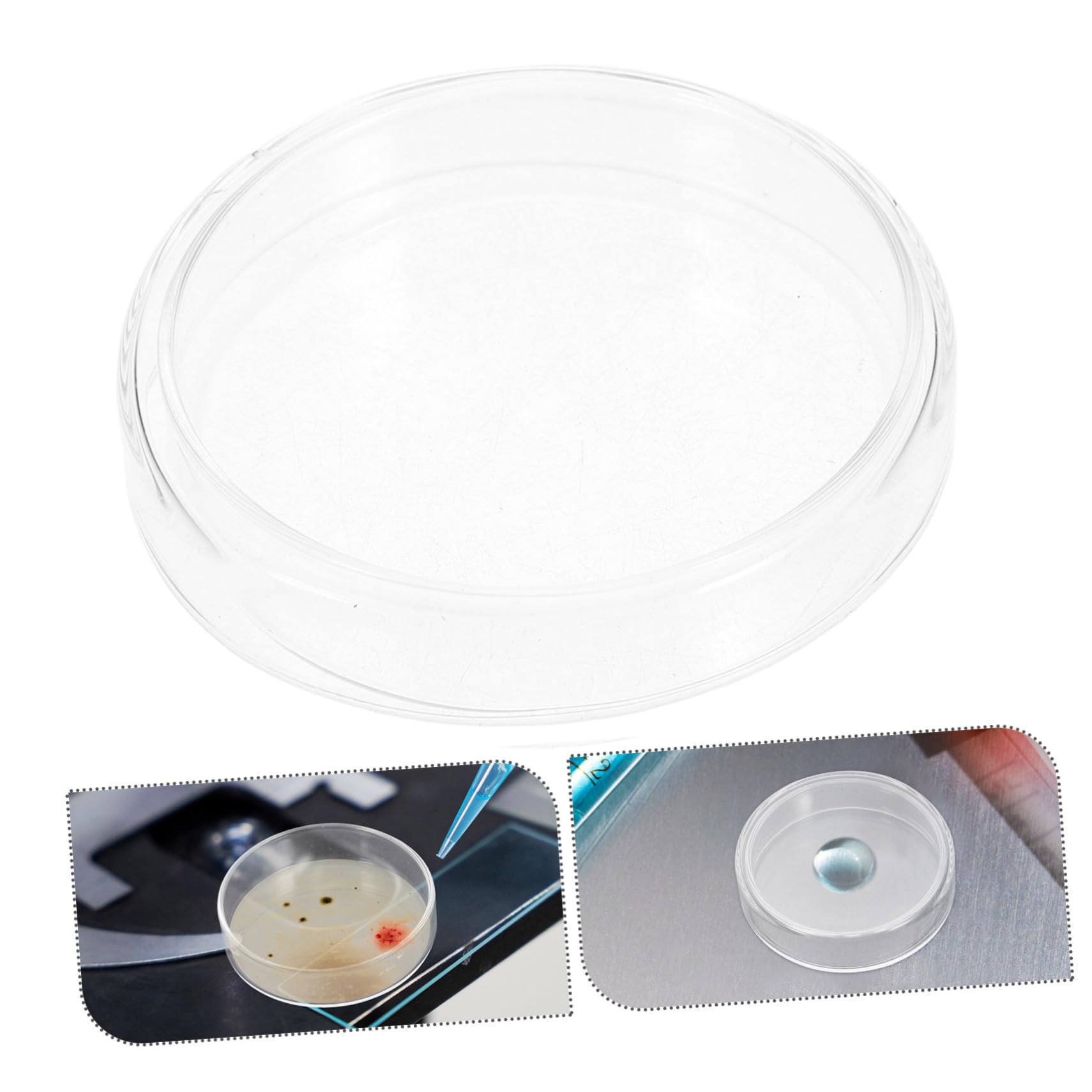 Cabilock 10stücke Glas-petrischalen mit Deckel Nährplatten für Laborgebrauch Mikrobiologisches Zubehör für Experimente und Zellkulturen