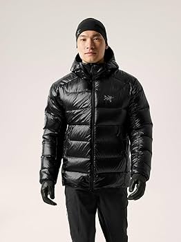 Amazon.co.jp: [アークテリクス] セリウム SV フーディ メンズ