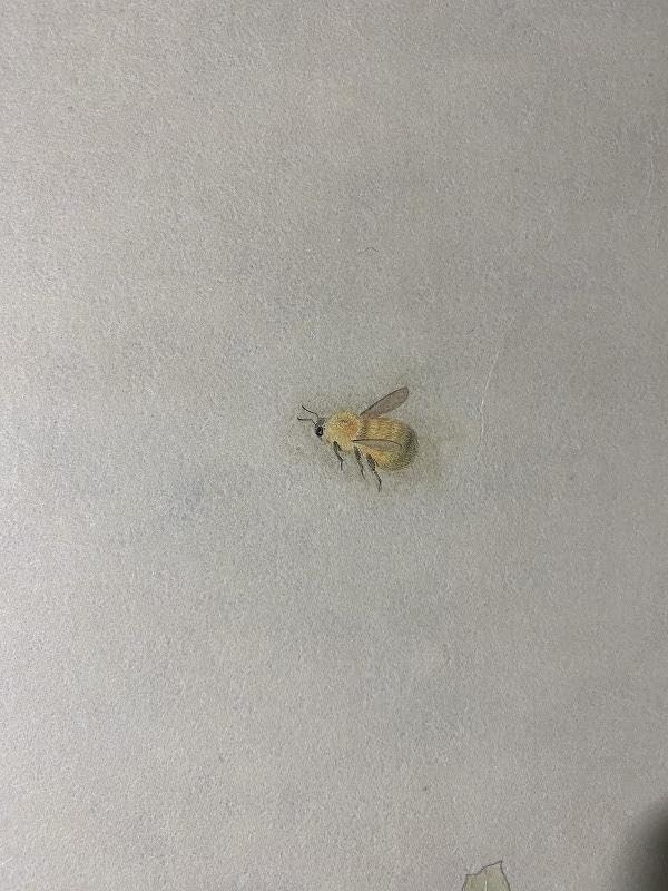 日本画】美術品｜杉本使聖｜出雲大神宮｜子宝恵｜運気良