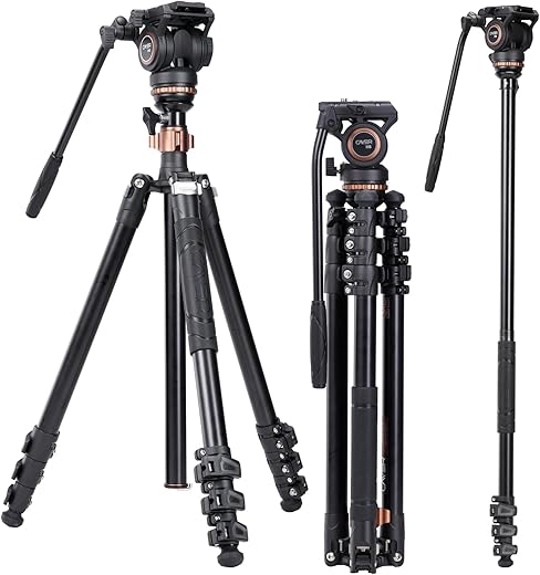 Kit monopiede treppiede video professionale, Cayer AF2451 Cavalletto treppiede telescopico...