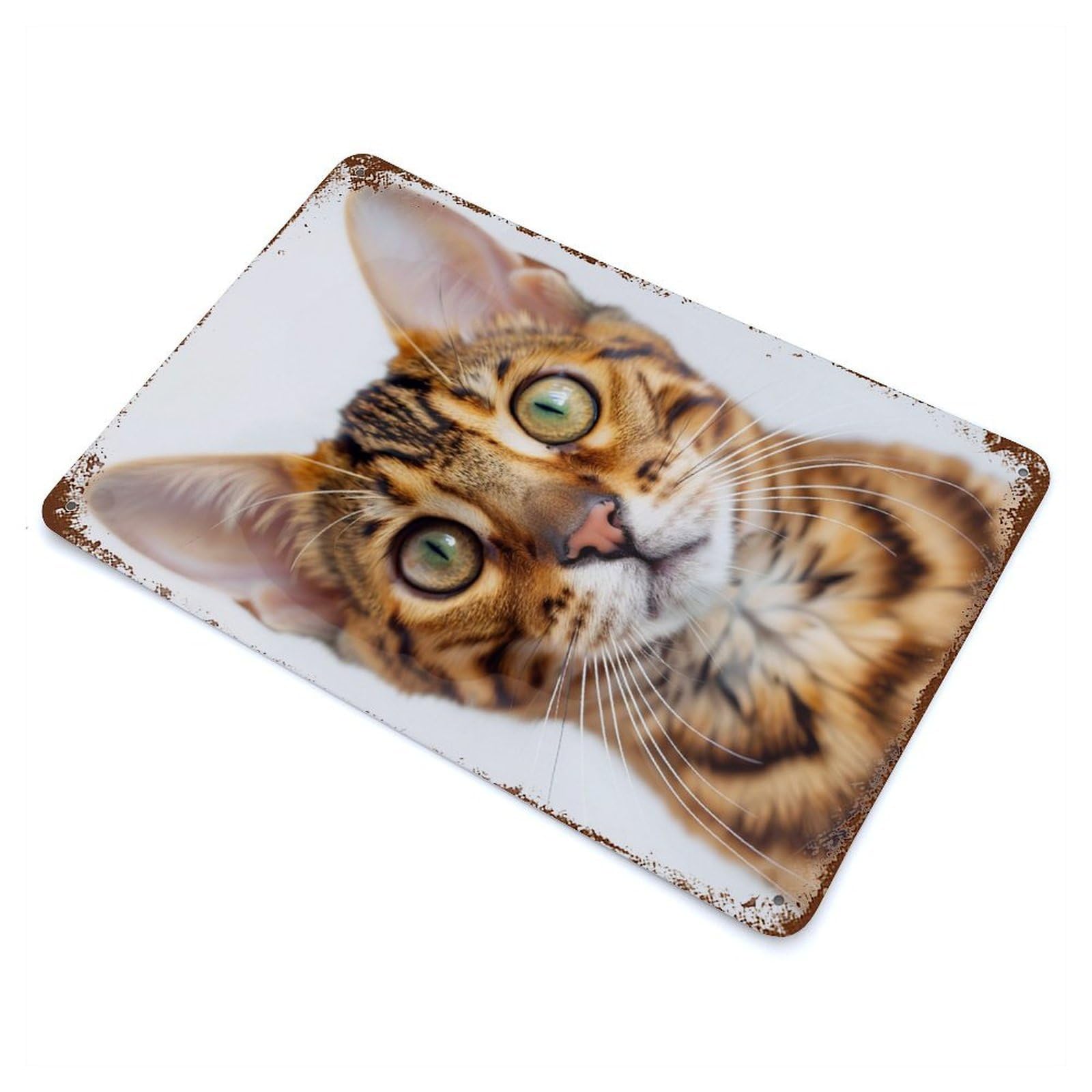 Bengal Face 11.8"x7.9" Retro Metal Sign, Vintage Wall Decor for Garage, Bar And Workshop Decor