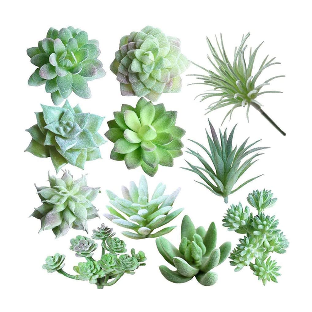 Plantes succulentes artificielles : la solution sans arrosage pour embellir votre décoration intérieure