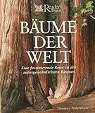 Bäume der Welt: Eine faszinierende Reise zu den aussergewöhnlichsten Bäumen - unknown 