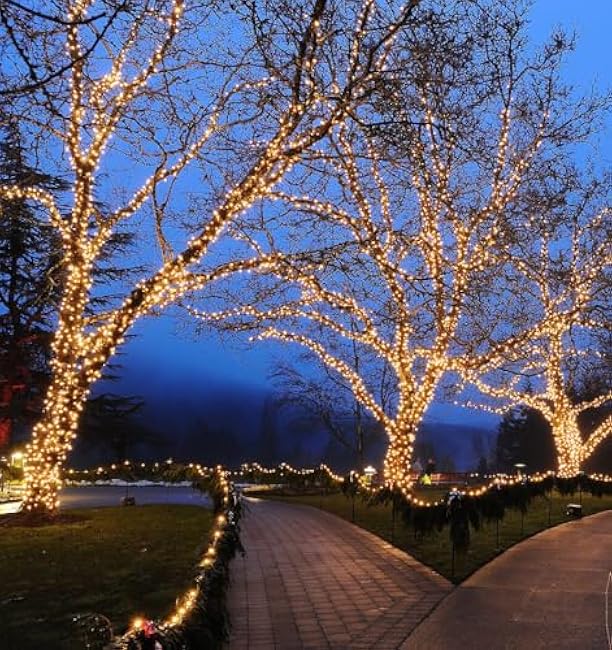 Novelty Lights 11ft 50 LED Warm White Christmas String Lights, 2.5 Spacing on Brown Wire, UL Listed IP55 Commercial Grade Xmas Lights for Outdoor/Indoor, Dimmable, Connectable