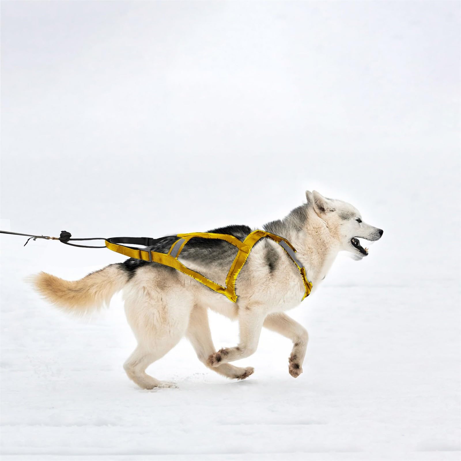 Husky Sledding Harness Bagmrteho Dog Pulling Harness X-Back