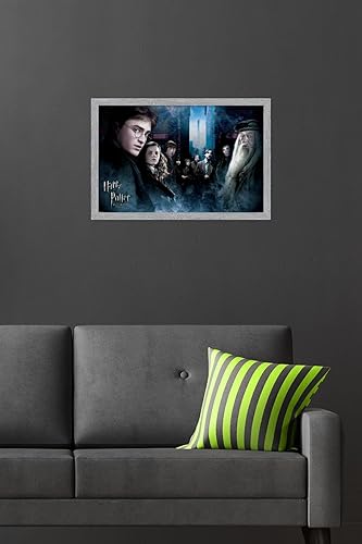 Vista 18 de Trends International Harry Potter y el príncipe mestizo - Póster de pared de la fraternidad, 22.375 x 34 pulgadas, versión premium sin marco
