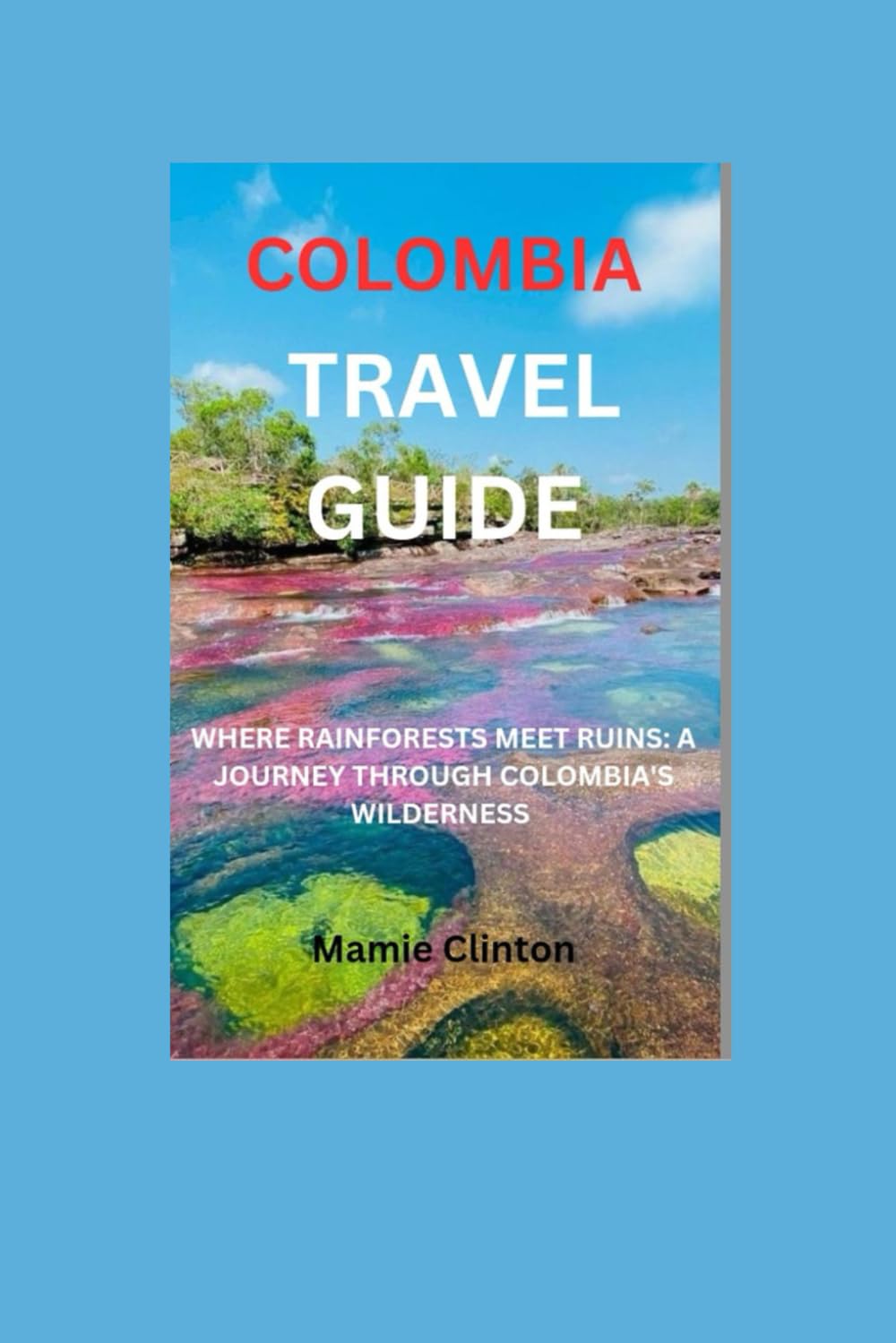 Colombia Travel Guide: WHERE RAINFORESTS MEET RUINS: A JOURNEY THROUGH COLOMBIA'S WILDERNESS