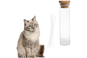 Exquisite Cat Whisker Jar - A Cherished Keepsake for Your Furry Companion