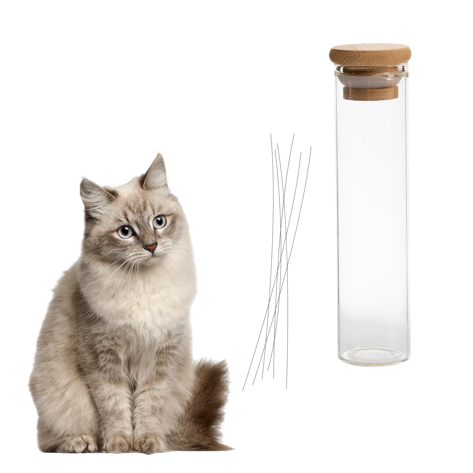 Swirge Cat Whisker Jar, Cat Whisker Collector, Transparent Glass Cat Whisker Vase, Pet Keepsake Box, Loss of Cat Sympathy Gift