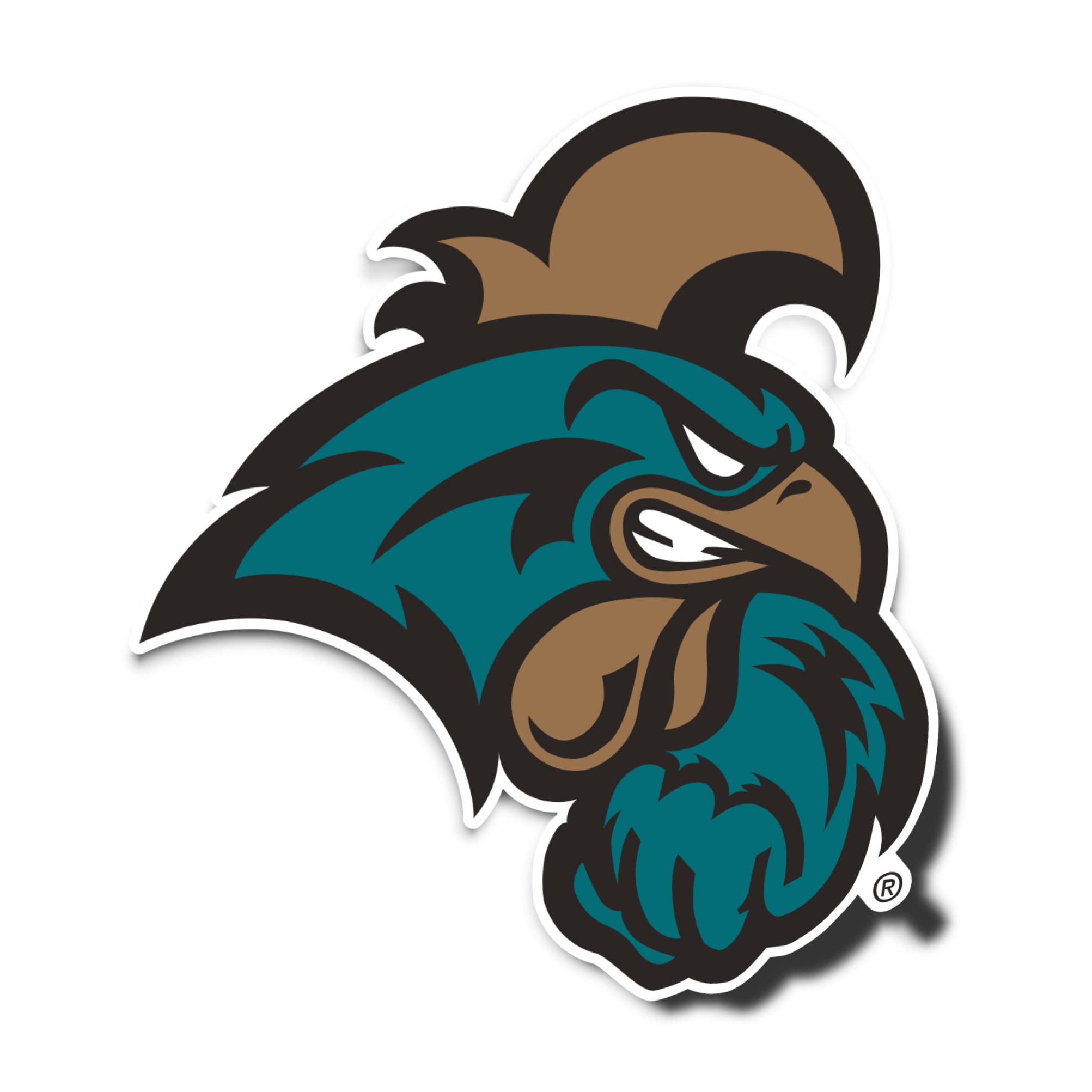 Desert Cactus Coastal Carolina University Sticker Chanticleers CCU CINO Vinyl Decal Laptop Water Bottle Car Scrapbook (IND 00001)