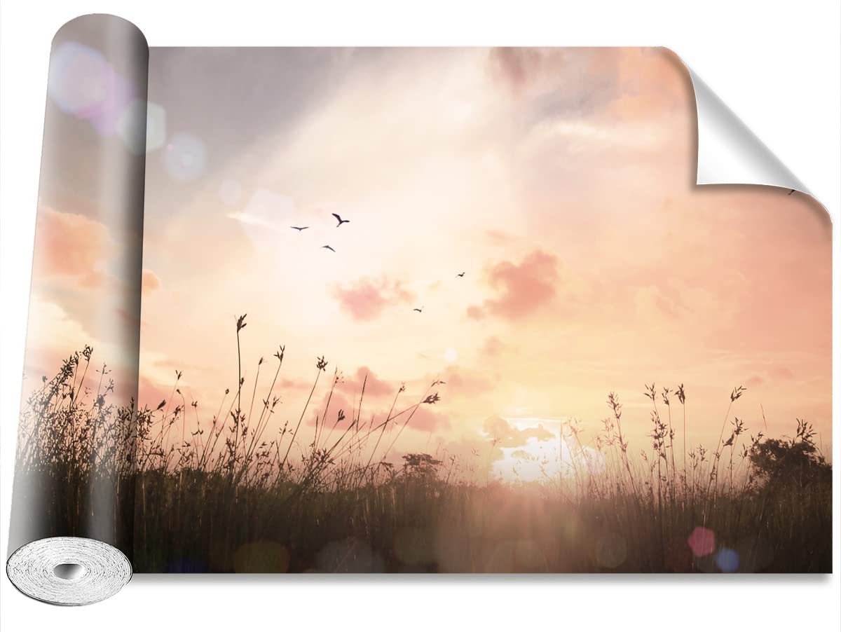 Papier Peint Camouflage pour Transformer un Mur Blanc Fresque Prairie Tulup