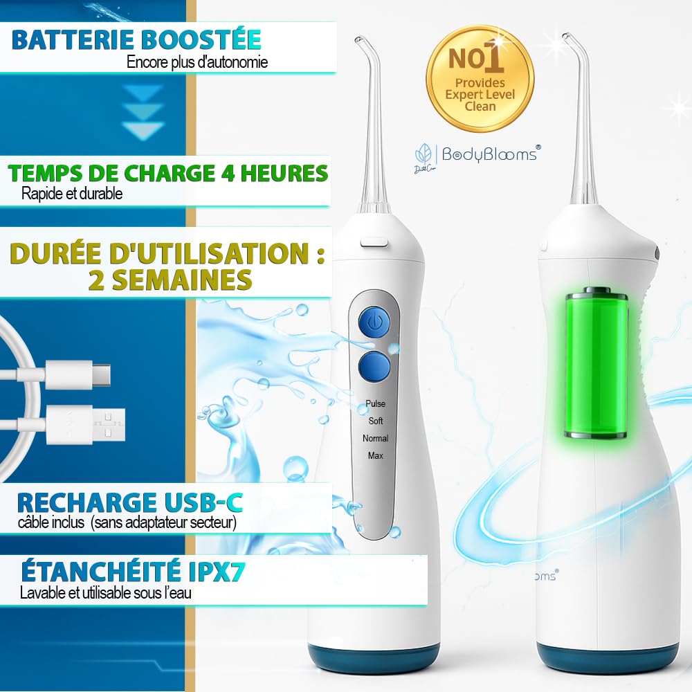 Hydropulseur dentaire DENTAL V-PRO 300 ml |Jet dentaire hydropulseur IPX-7,USB-C pour hygiene dentaire, cure dent |Hydropulseur avec 5 buses et 1 miroir dentaire | water flosser