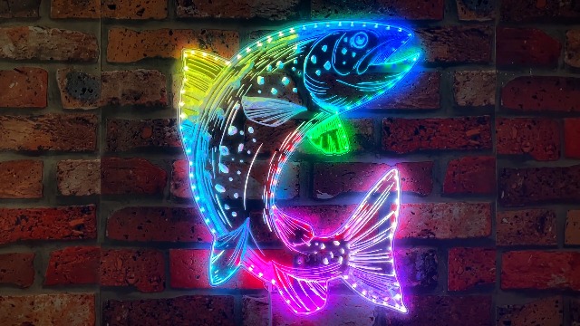 Amazon.com: ADVPRO Trout Fish Fly Fishing RGB Dynamic Glam LED