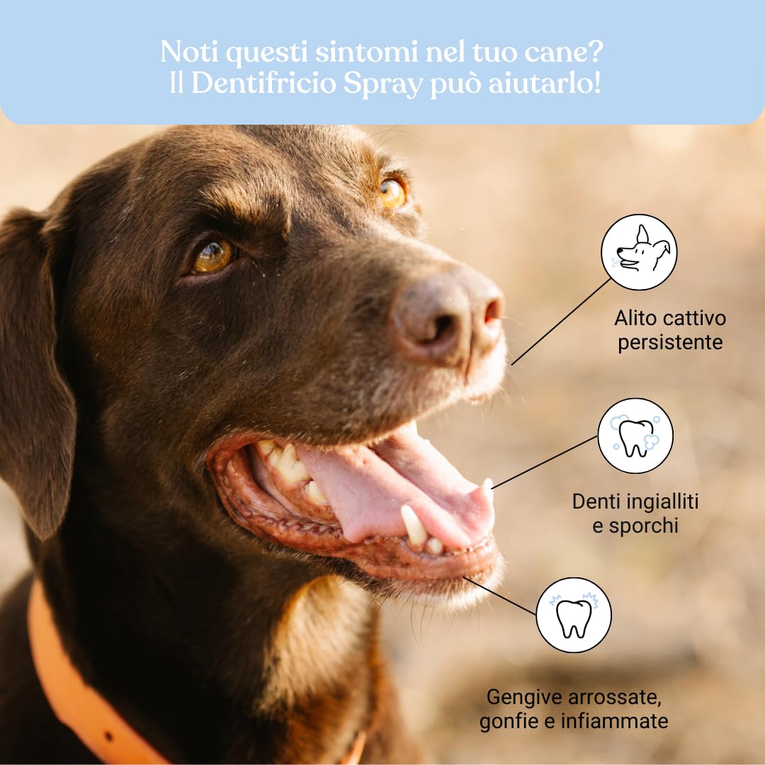 Bàu Dentifricio Spray per Cani, Pulizia Denti Cane Profonda, Spray Alito Cane Sgradevole, Previene Tartaro, Dentifricio per Cani Arricchito con Menta ed estratti di Tè Verde - 100 ml