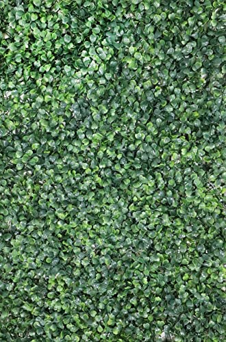 Reviews y listado de Pared pasto artificial que Puedes comprar On-line. 21 Reviews y listado de Pared pasto artificial que Puedes comprar On-line. 21