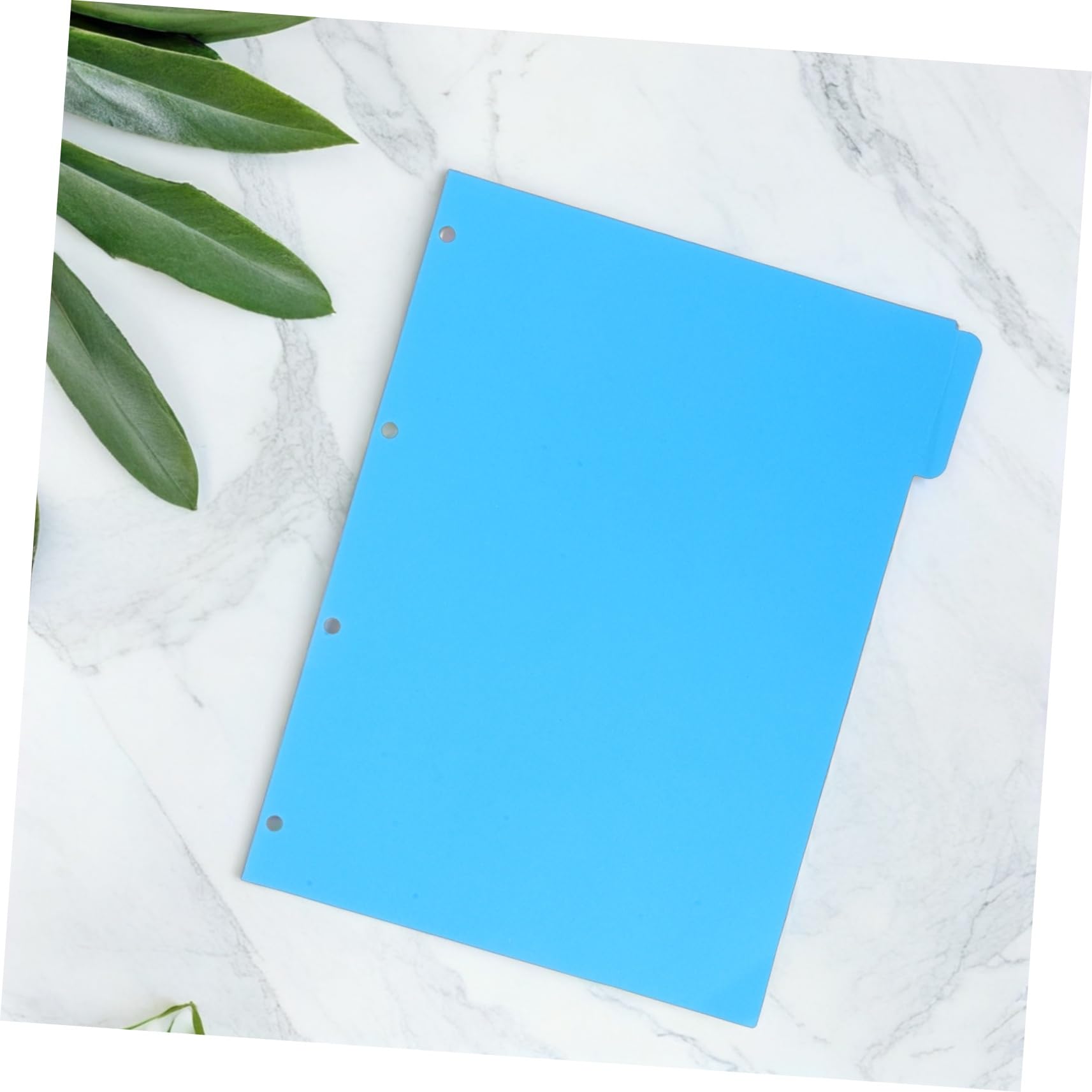 Binder Index Dividers 10 Set, Carta, Pagine Colorate per Quaderno
