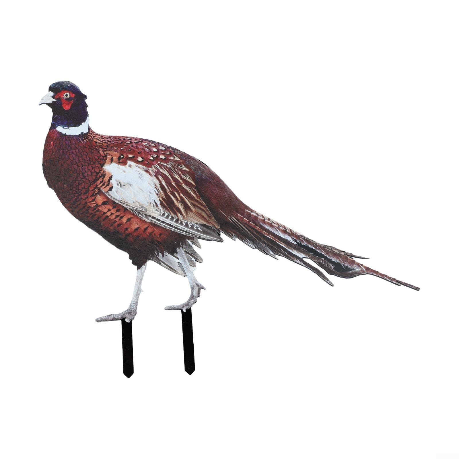 Outdoor Garden Pheasant Ornaments Set of 2, Acrylic Yard Decorations for Garden and Flowerpot (A)