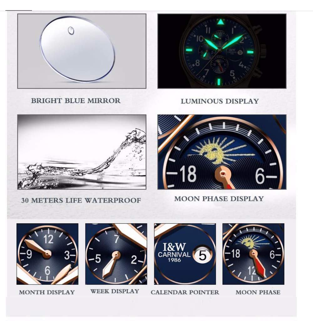 MASTOP Herren Komplikationen Analog Automatische Mechanische Uhr Leuchtender Kalender Echtes Lederband Business Edelstahl Kleid Armbanduhr Klassisch