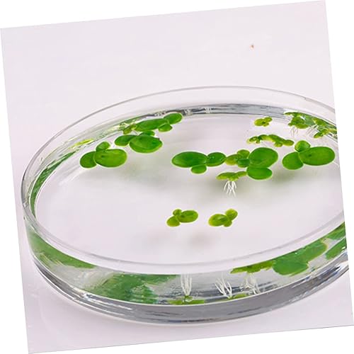 Miniatura 4 de 18 Uds. Artificiales de acuario de lenteja de patito, accesorios de decoración de pecera de cristal, mini plantas, lirio, almohadillas de adorno,