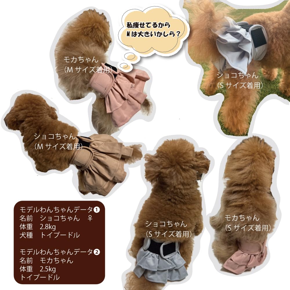 ペット用オムツとマナーパッド　トイプードル Amazon.co.jp: 犬用おむつパッド 男の子 女の子兼用マナーパッド 100枚