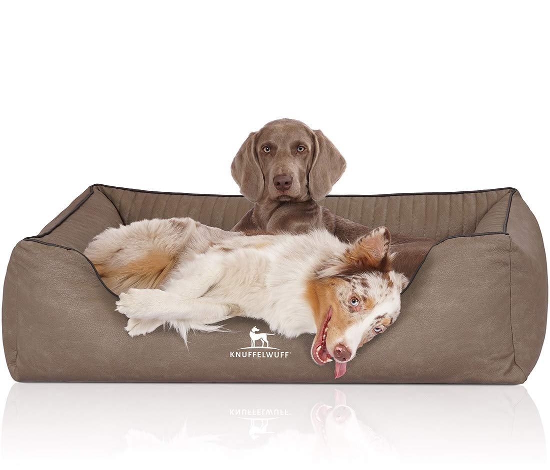 Knuffelwuff Orthopädisches Hundebett Columbia aus Laser-gestepptem Kunstleder XL 105 x 75cm Stone - Abnehmbarer Bezug - leicht zu reinigen - für große, mittelgroße und kleine Hunde