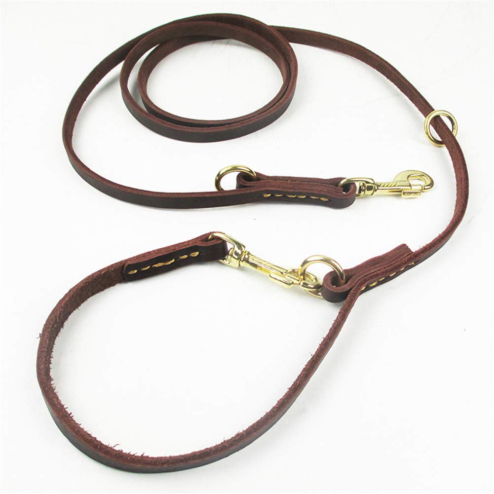 Correa para adiestramiento de perros Correa para adiestramiento Correas largas para adiestramiento de perros Correa acolchada para perros Correa azul para perros Correa para perros con doble asa