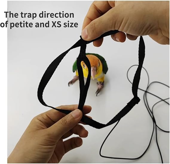 Adjustable Bird Harness with 78.7 Inch Leash, Outdoor Flying Training Rope Kit for Bird Parrots, Parrot Flying Rope Straps Outdoor Training Traction Rope for Small Medium Large Size Birds (Petite)
