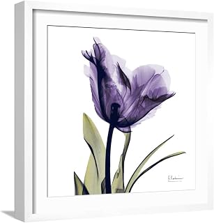 ART.COM Wall Art Print Purple Tulip Portrait on White Frame by Albert Koetsier, 21" x 21"