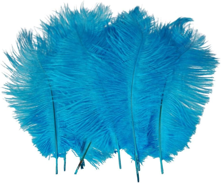 AABABUY Pack of 10,Naturl Ostrich Feathers 12-14inch (30-35cm) for Wedding,Clothing,Party,Decoration,DIY (Sky Blue)