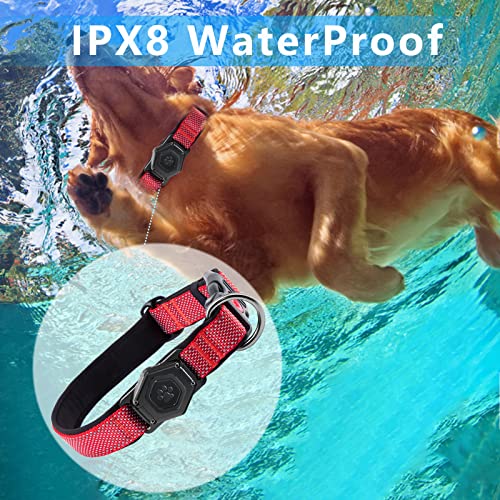 Why Do Dogs Wear Two Collars? Exploring and Unlocking the Benefits