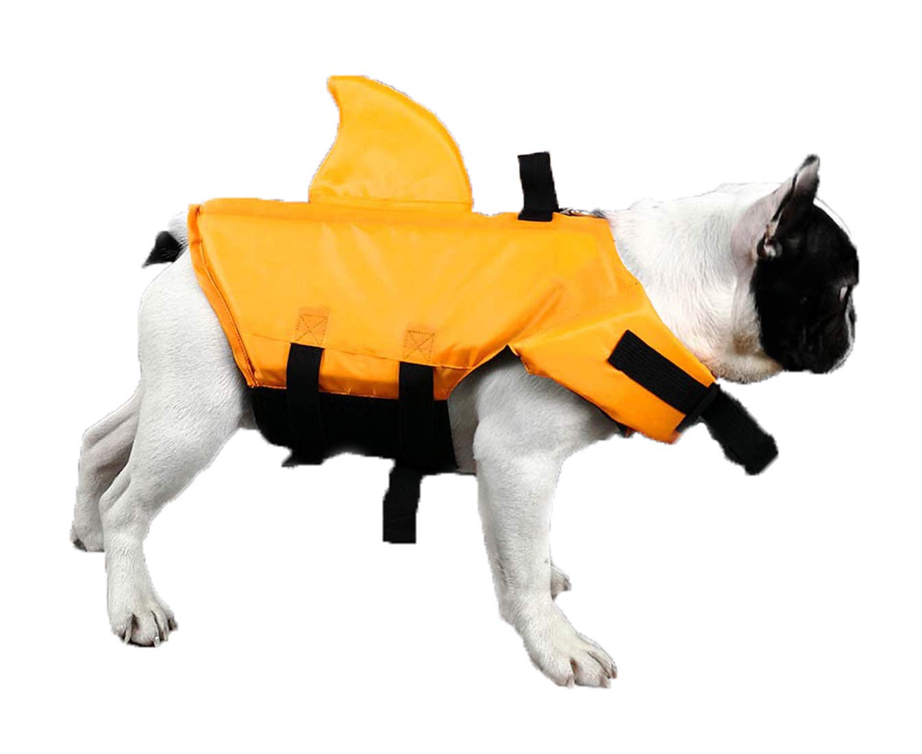 GabeFish Shark Gilet de sauvetage pour chien Bleu orange, M (Weight: 17-48lb/8-22kg), Orange