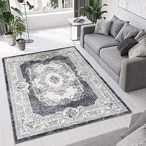 Area Rugs Modern Style Rug Artistic Traditional Unique Carpet Soft Short Pile Living Room Carpets Anti Slip Floor Mat Large for Hallway Bedroom Cover