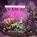 LED Grow Light Full Spectrum Panel Indoor Plants Growing Lights Plant Lamp for Seeding Vegetable Flower (45W, Silver)