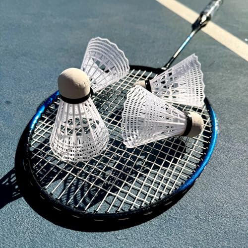 image for TIanWenYD 12 Packs Badminton Shuttlecocks Nylon Feather Shuttlecocks B