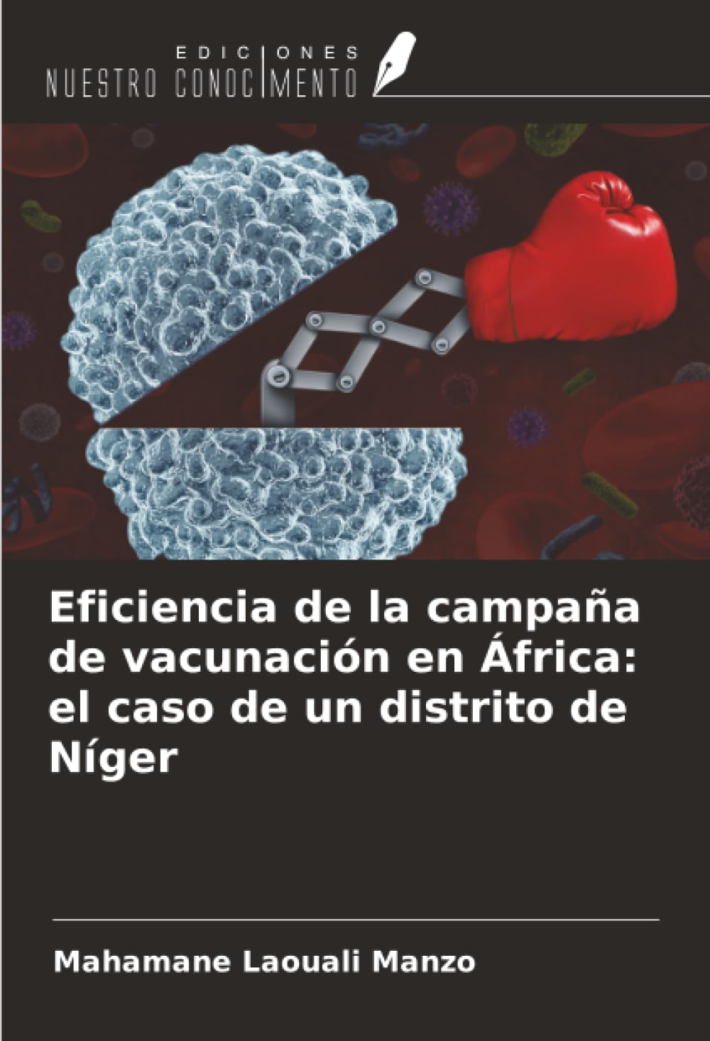 Eficiencia de la campaña de vacunación en África: el caso de un distrito de Níger